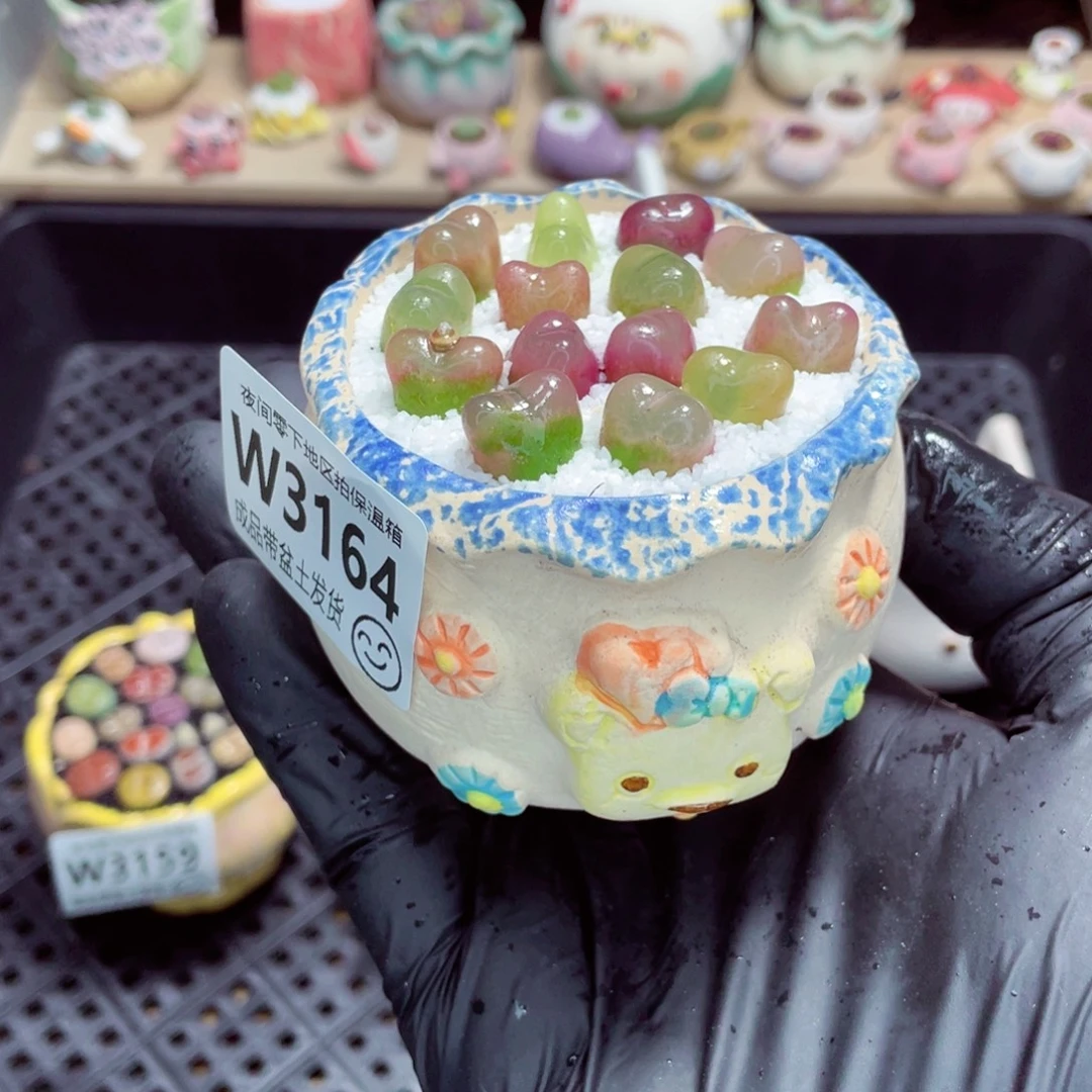 夜间零下地区拍保温箱w3164