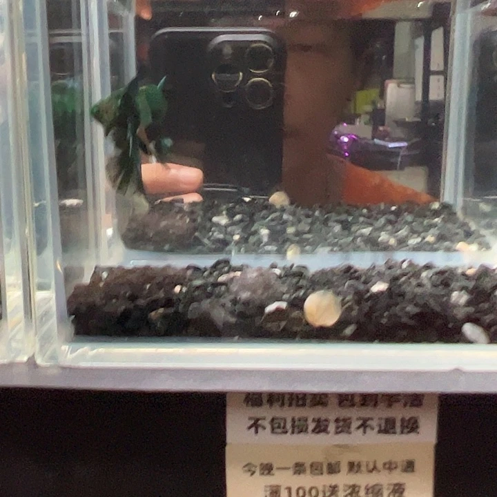 斗鱼竞拍跑单拉黑27日21