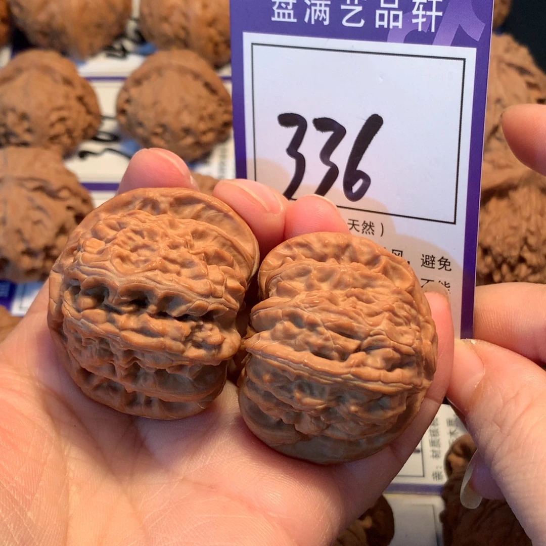 核桃336白狮子4.2全品