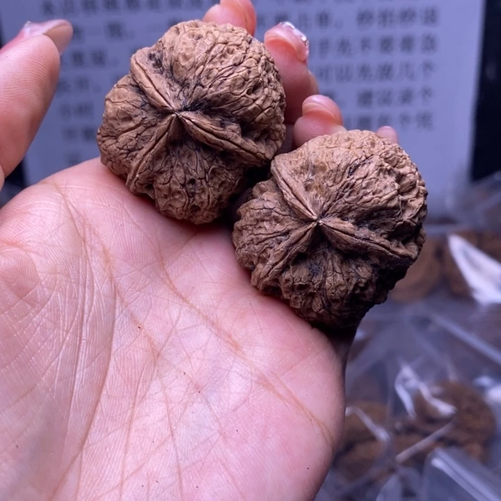 核桃云南野生铁核桃77号37mm