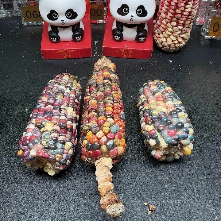 用***0柏香籽/百香籽吊坠