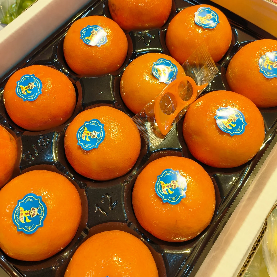 沃柑金狐狸沃柑毛重8斤