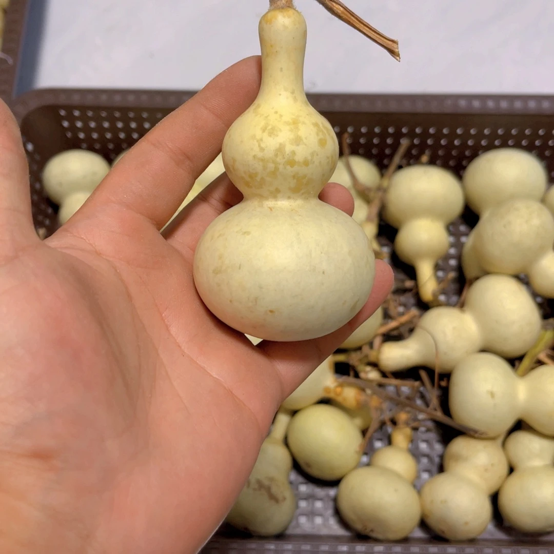 奋***斗感谢大哥支持兄弟，不保