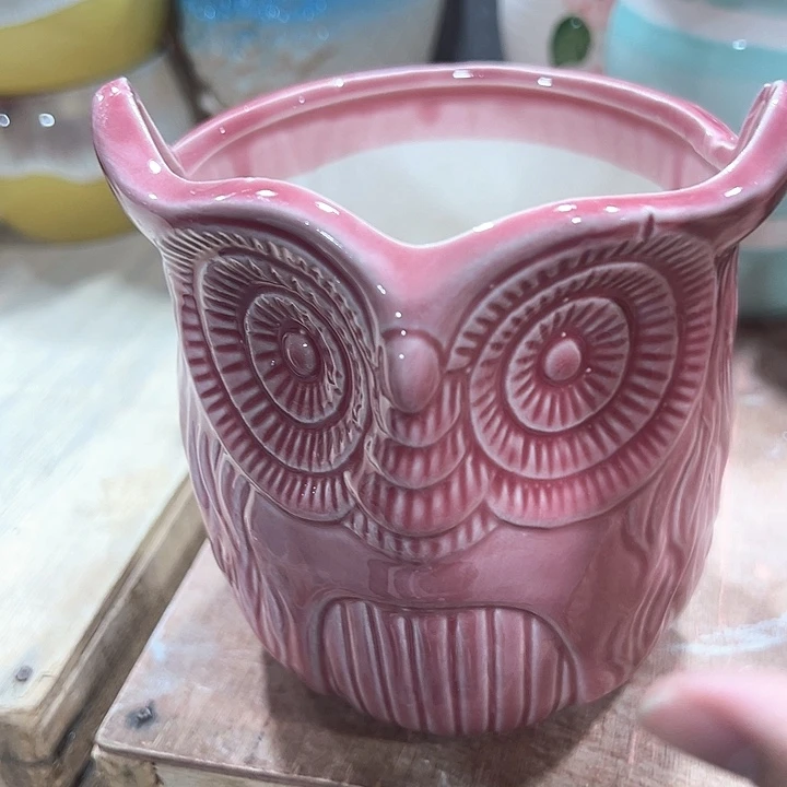 有问题问客服满9元包邮