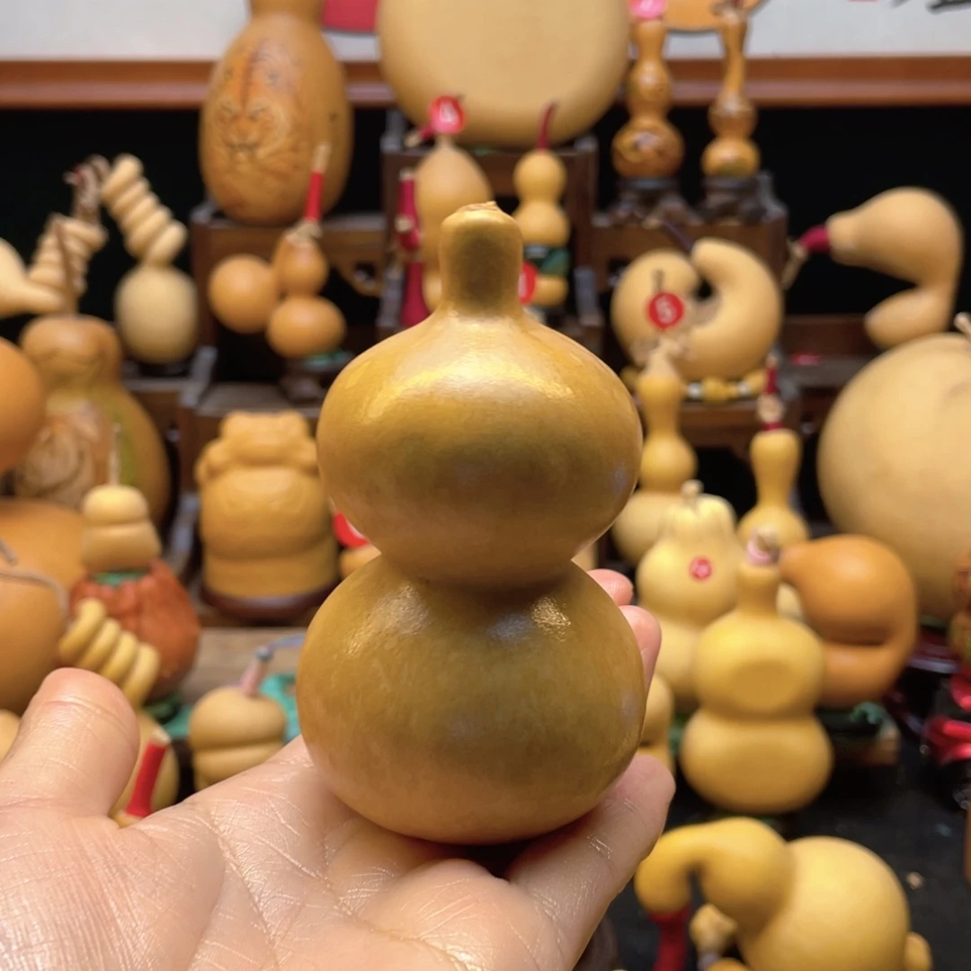 满*大自然的秘密第十一节的