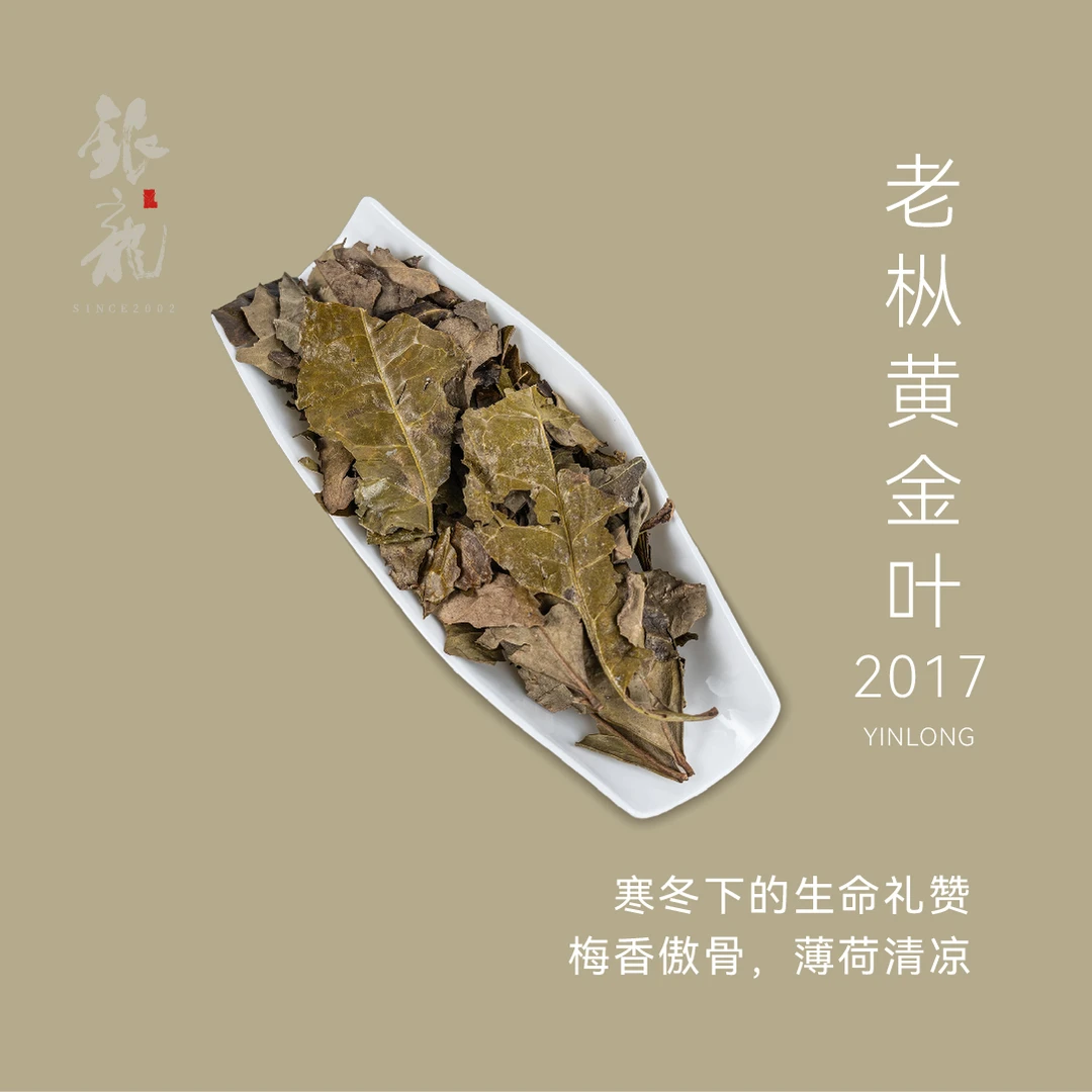 【2017老枞黄金叶】 银龙 福鼎白茶
