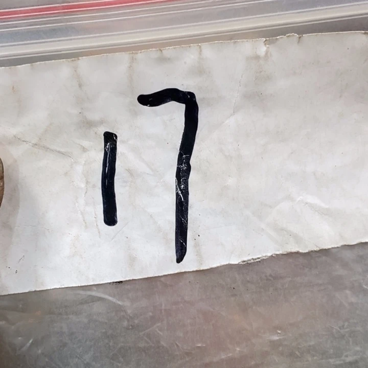 “***噢五六七文玩专属连接