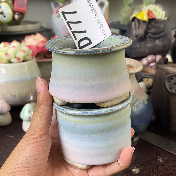 重庆小燕子欢迎大家777
