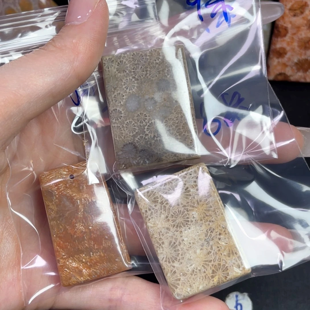 硅化珊瑚（珊瑚玉）吊坠未镶嵌