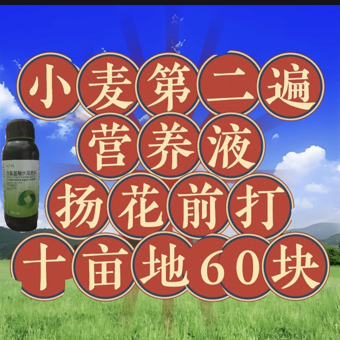 小麦第二遍含营养液十亩装