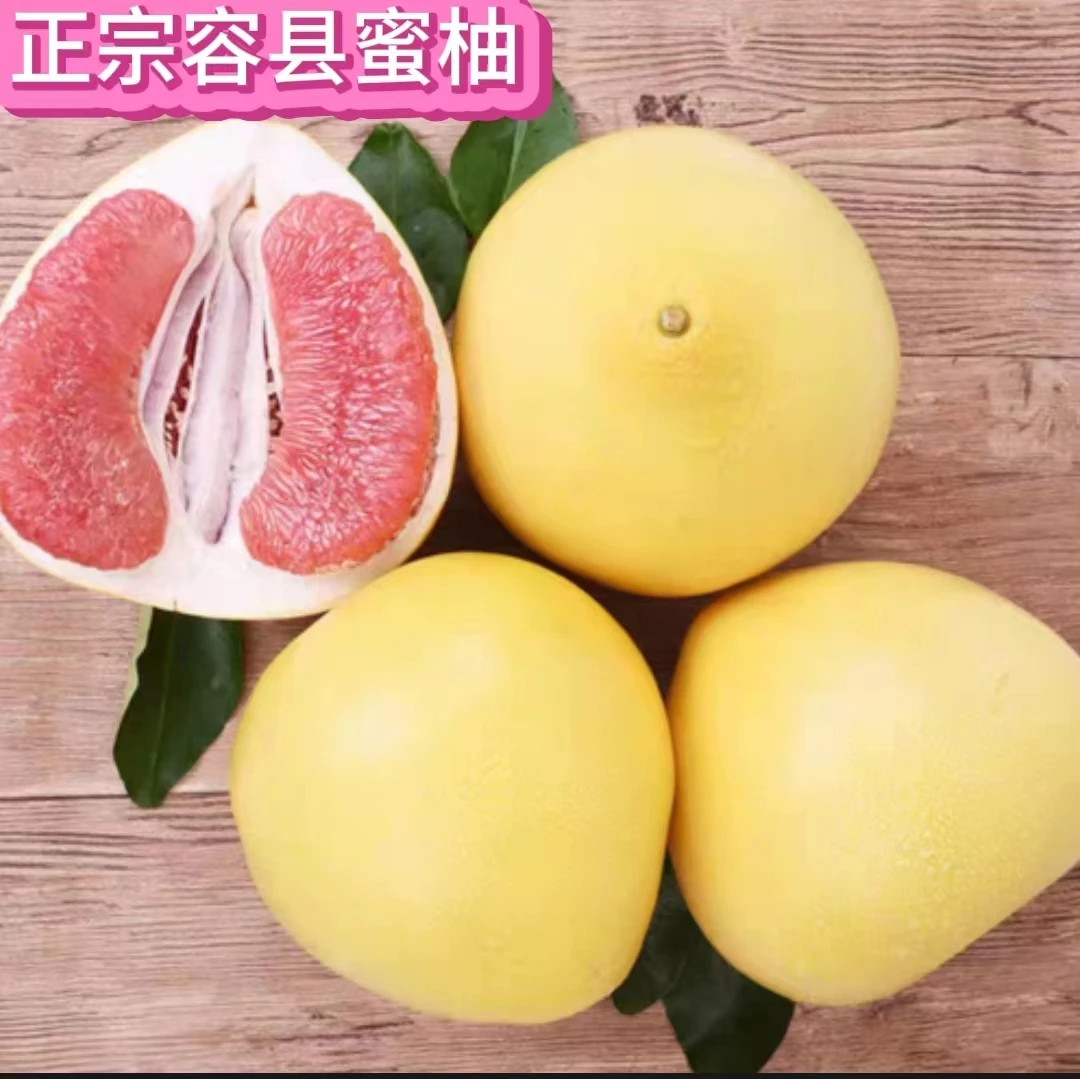 （仅两广下单蛇皮袋装）正宗容县蜜柚红肉蜜柚5-30斤精品中果