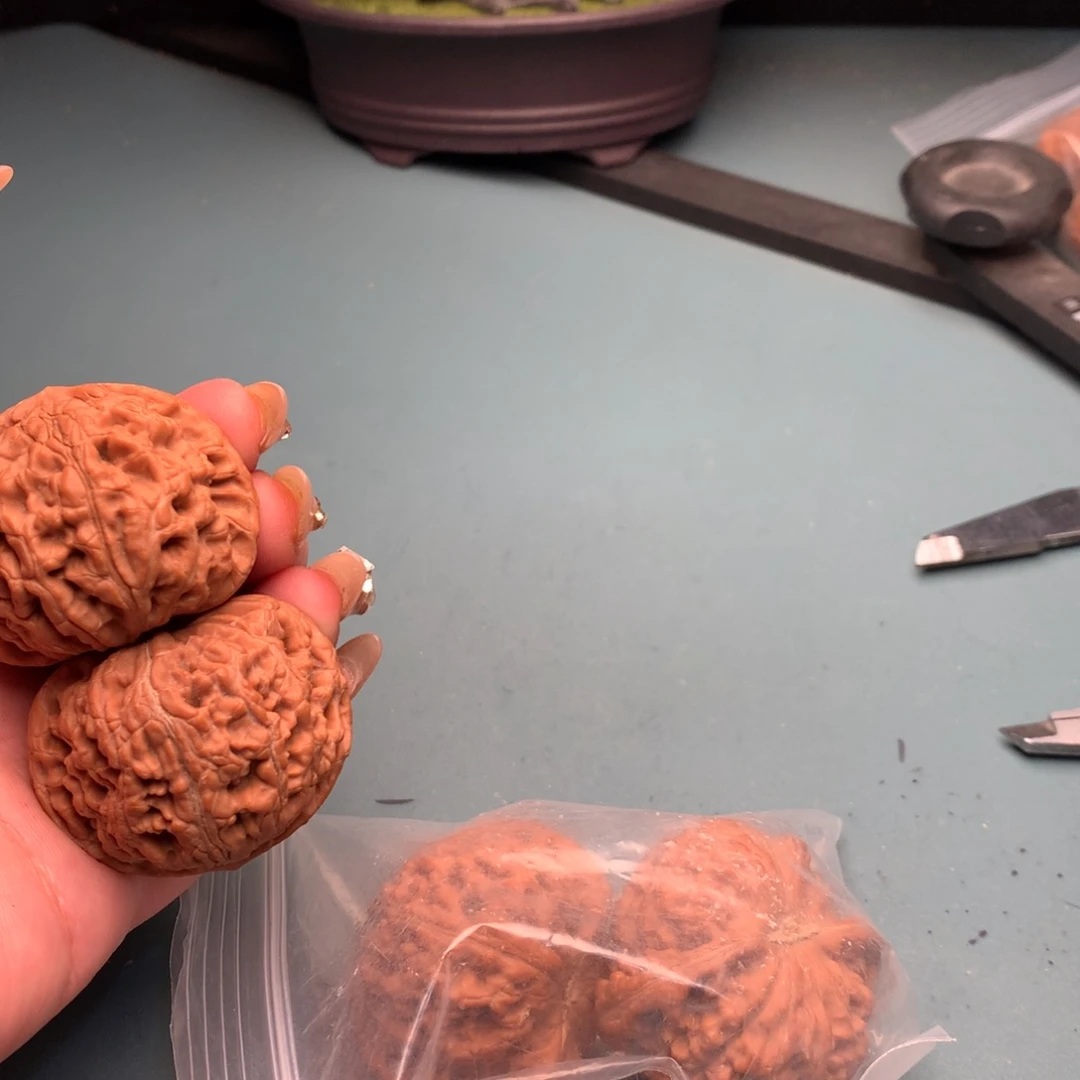 文玩核桃把件水龙4445