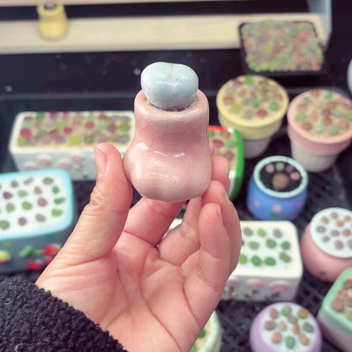 609零下地区记得拍保温箱满18包邮