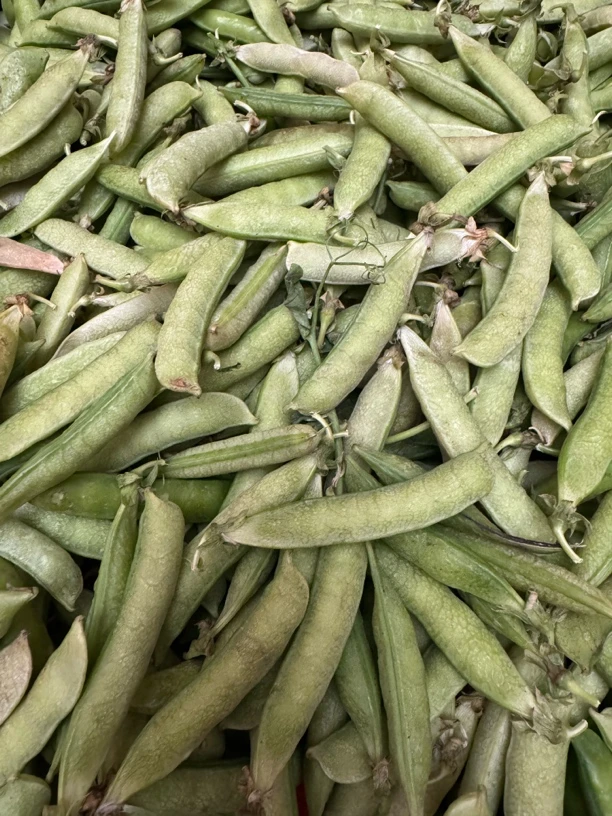 河南露天土豌豆老豌豆白皮黄皮豌豆收到货颜色不好看介意不要拍