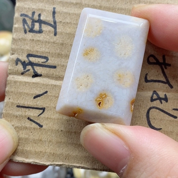 硅化珊瑚（珊瑚玉）颈饰未镶嵌7***j