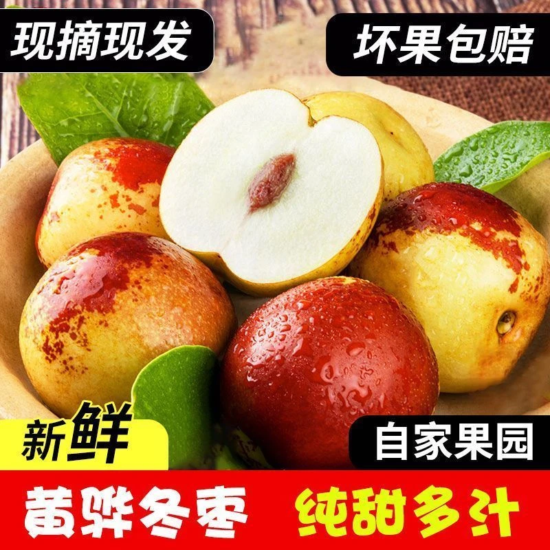 顺丰包邮新鲜现摘冰糖冬枣应季脆甜水果