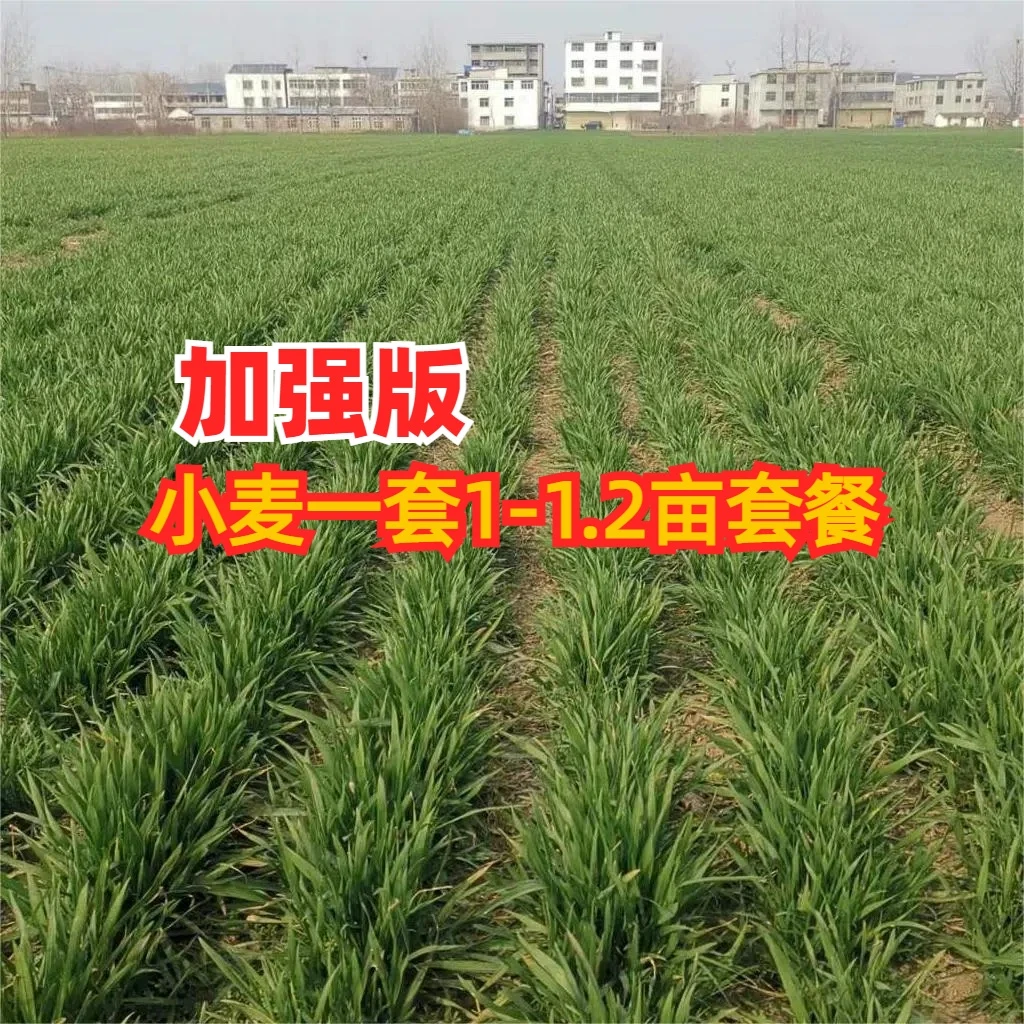 [1套1-1.2亩]小麦一喷多防增产方案