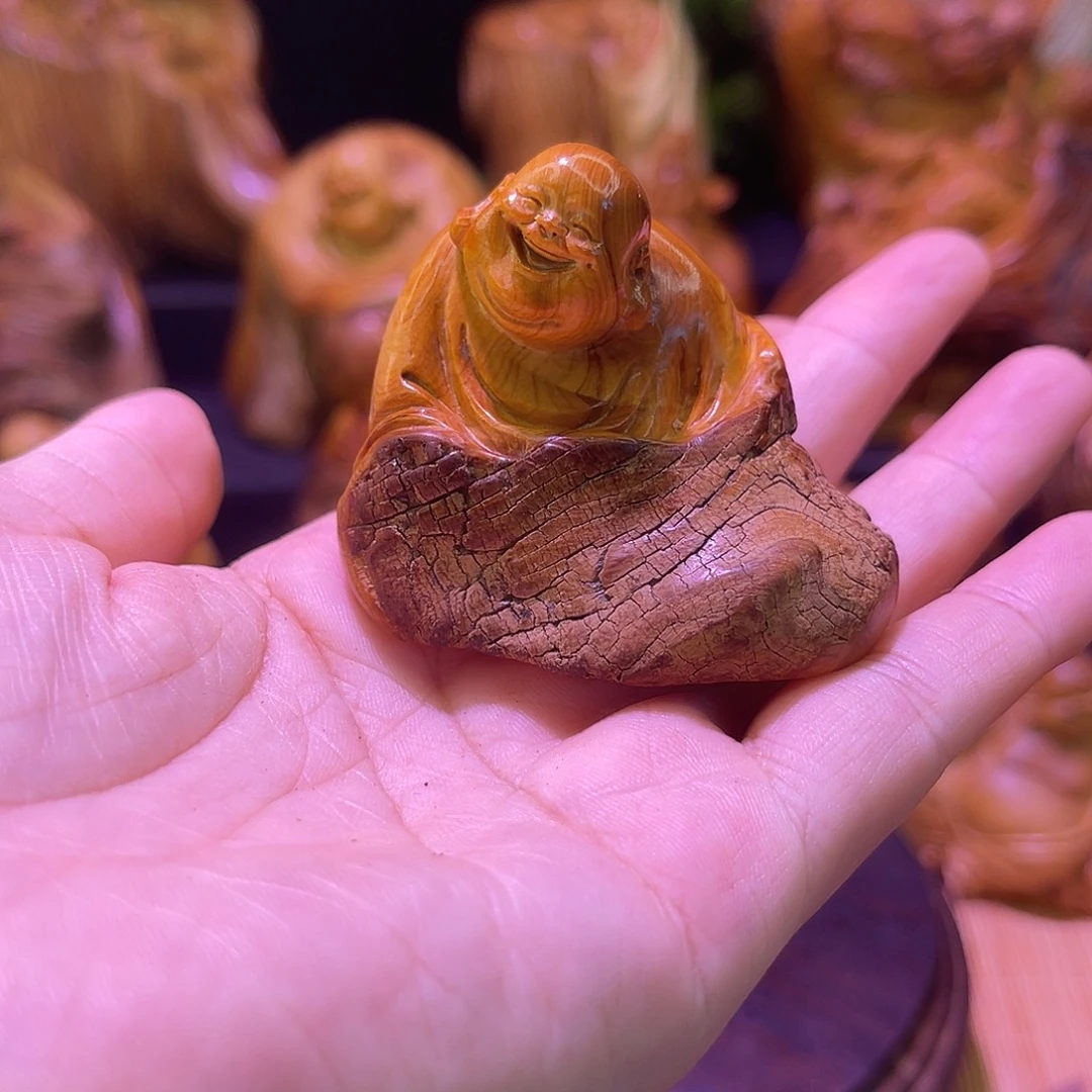 柏木888888888888888888