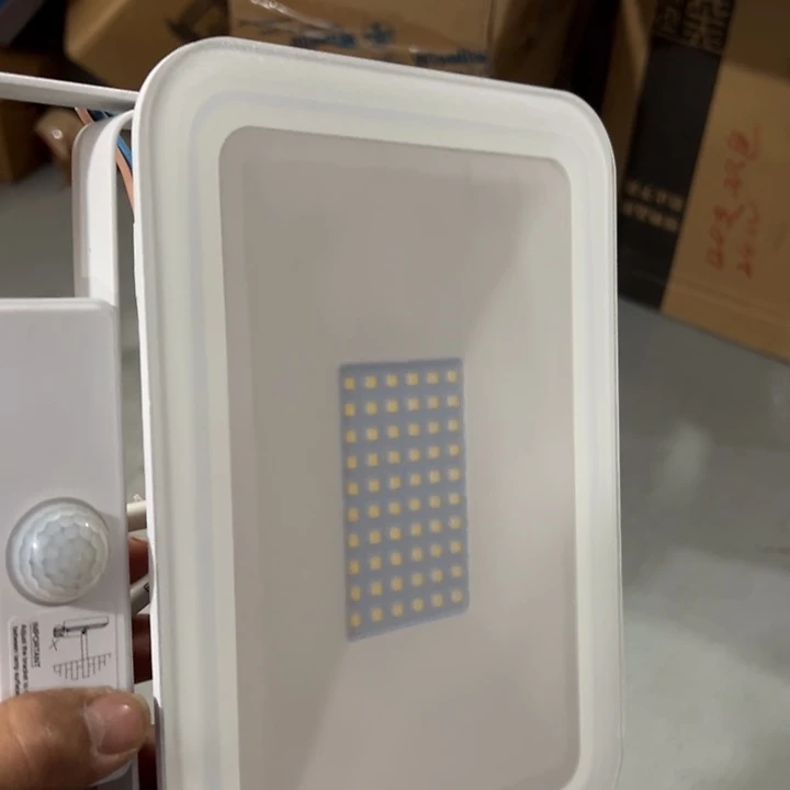 李***民0000000011号感应灯