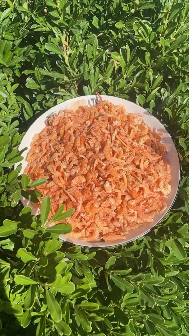 江苏徐州土特产烘干虾尾微盐无油干虾尾