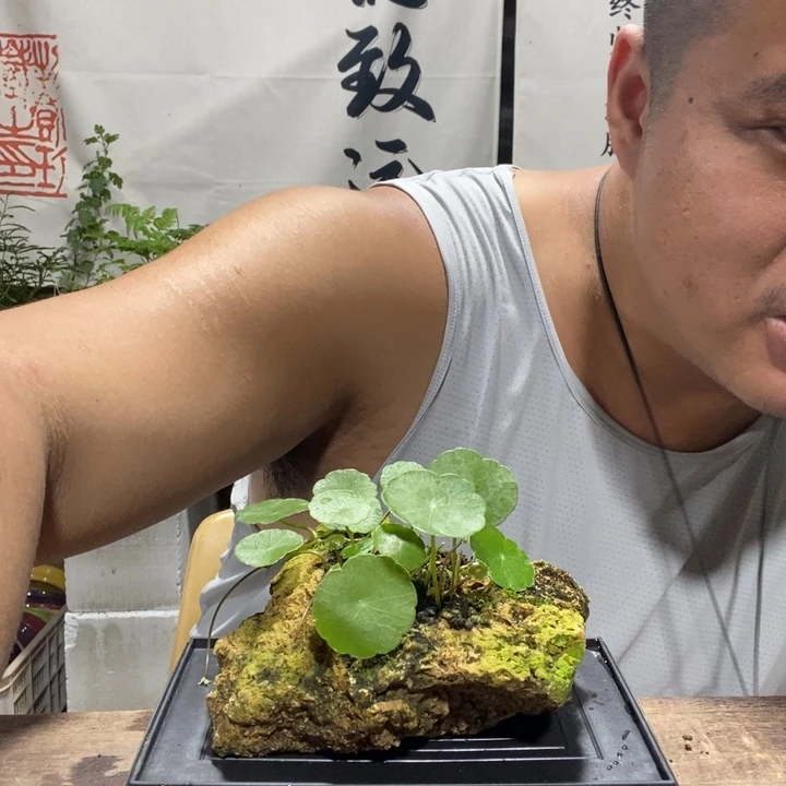 邱*邱一物一拍所见即所得283
