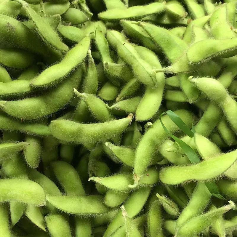 湖南永州宁远农家新鲜带壳毛豆产地直采现摘现发