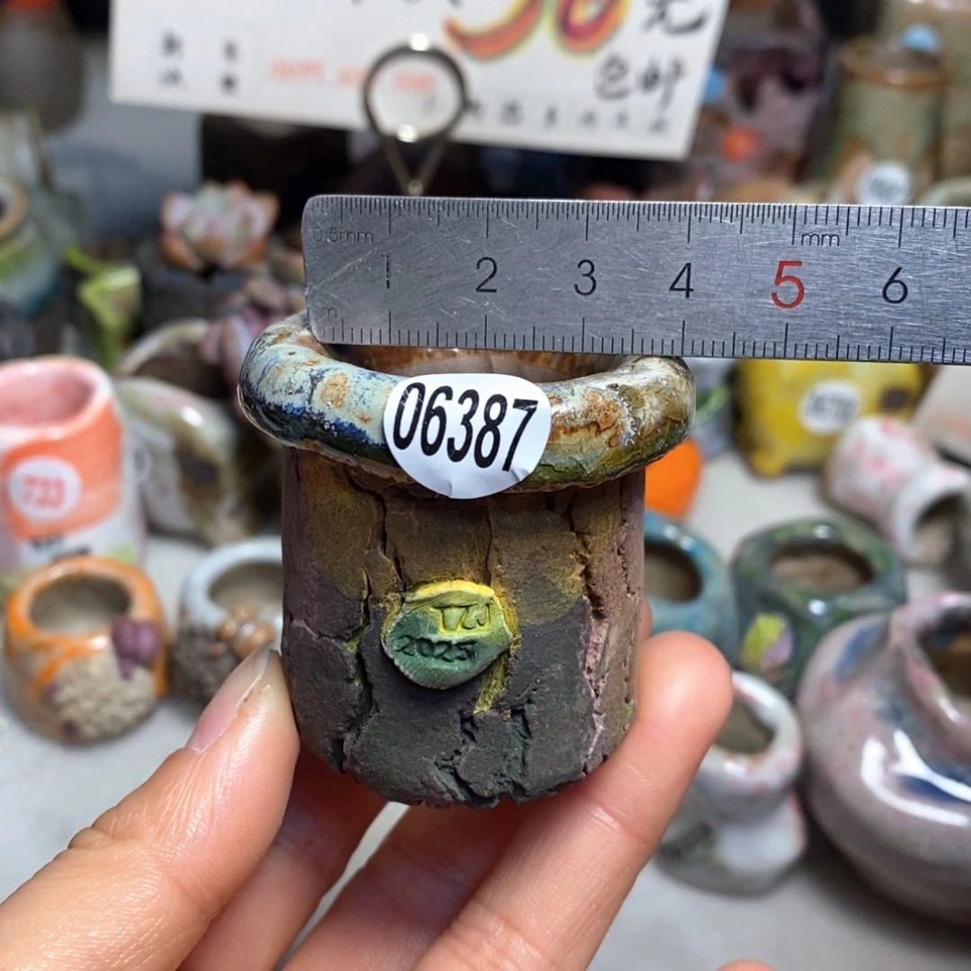 花盆拍3送一个小礼物