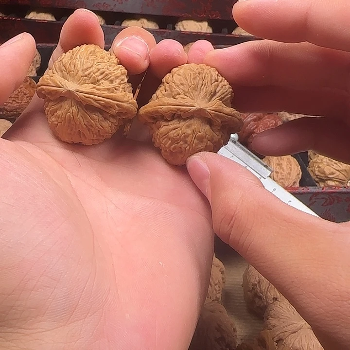 ****‍龙脊菩提吊坠啊啊啊啊啊啊啊啊4