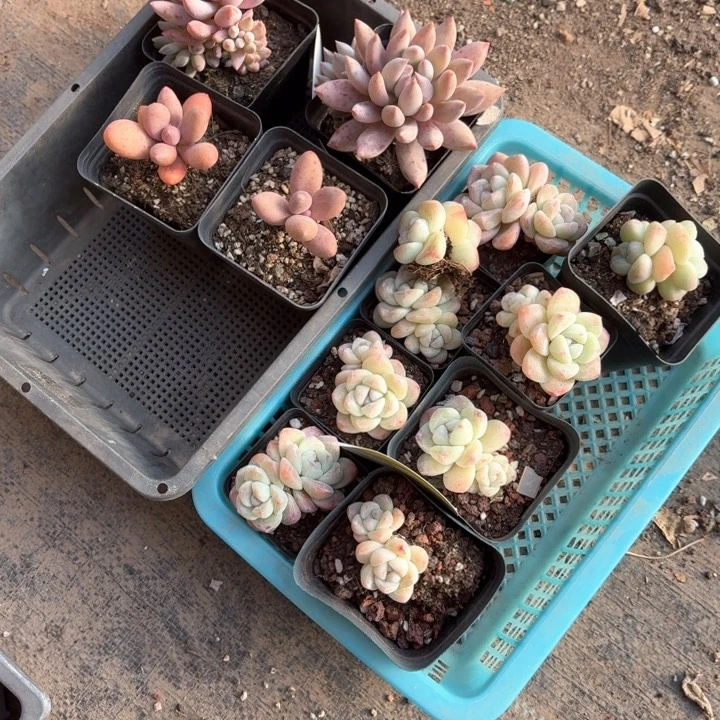 好***◎v m c c b v f gj 134