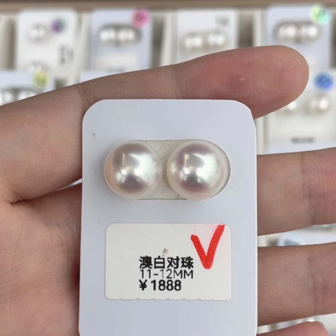 未镶嵌海水珍珠澳白对珠11-12mm