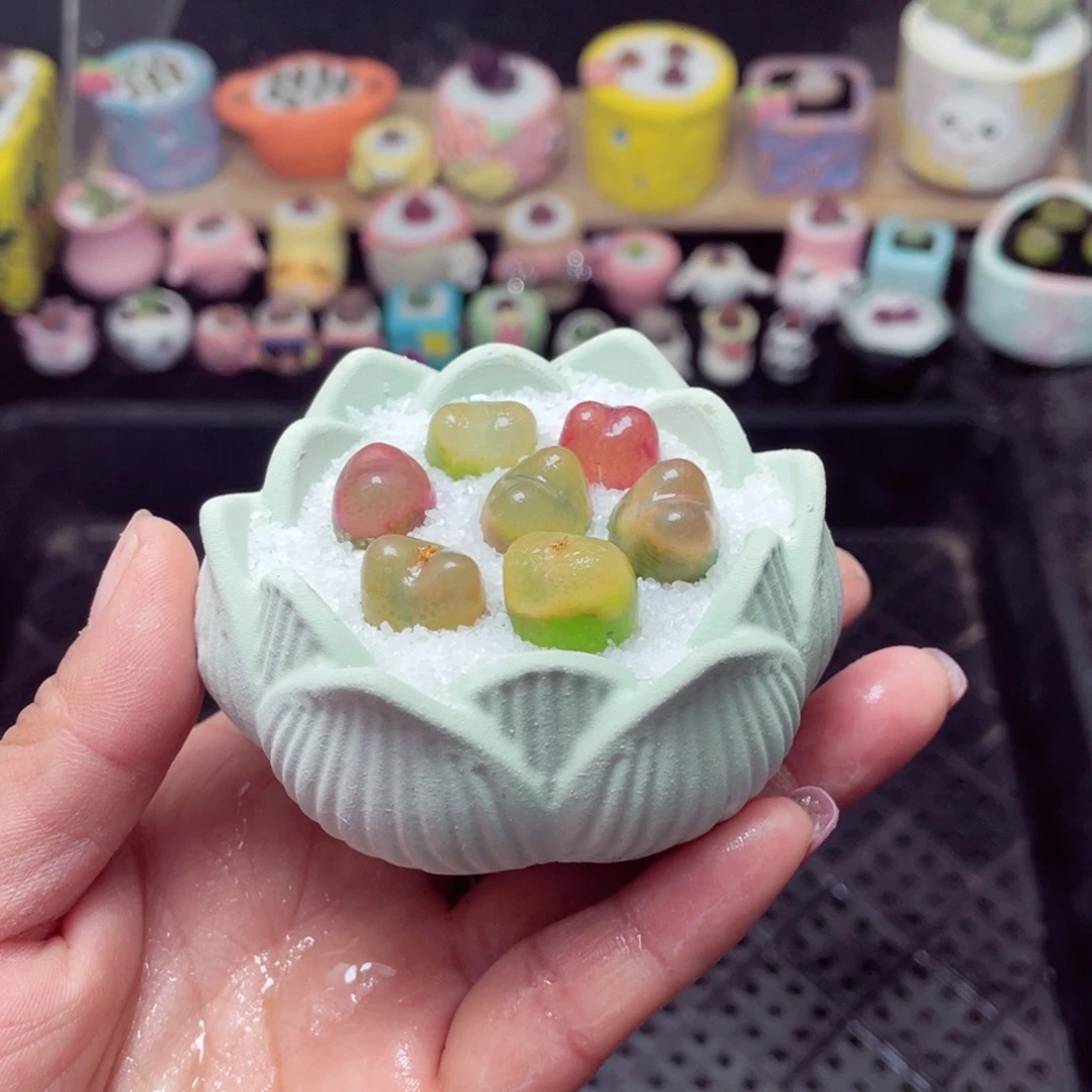 w9888 带盆土发货-零下地区拍保温箱