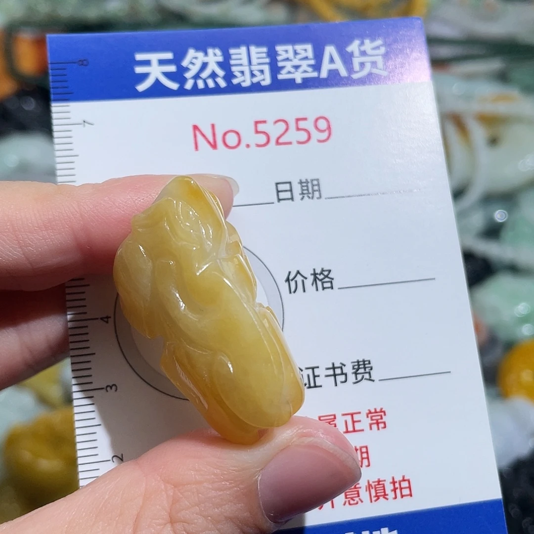 翡翠未镶嵌挂件5259