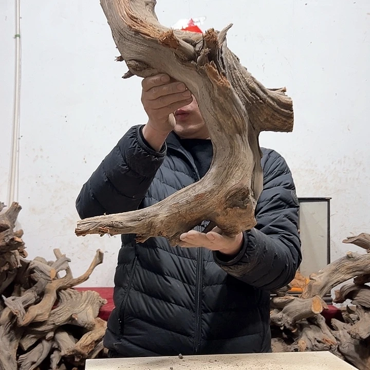 柏木不****头我们都是好孩子呀我