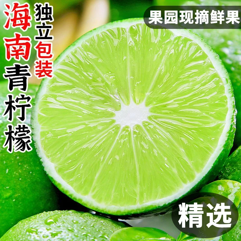海南青柠檬新鲜水果当季青檬青柠奶茶店专用香水无籽批发整箱包邮
