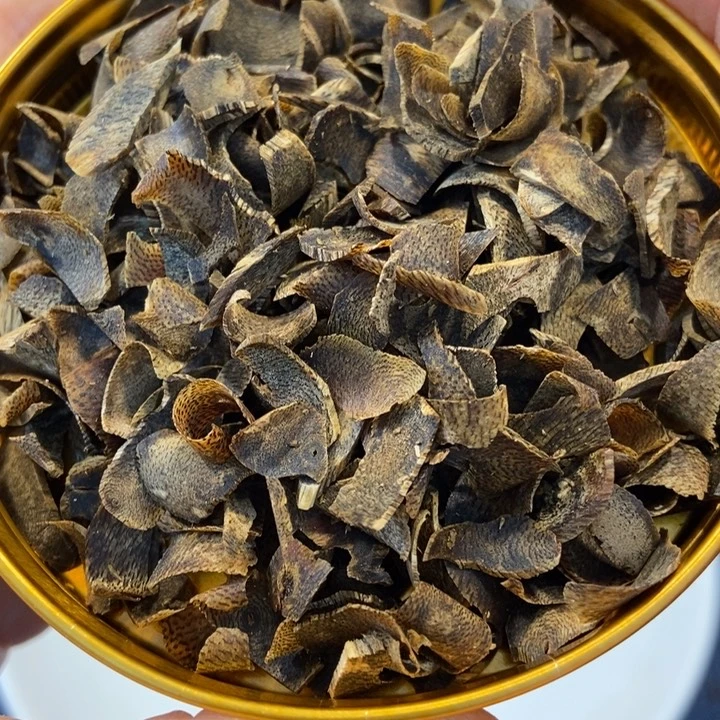 沉香沉香碎屑奇楠切片20克多样性发一