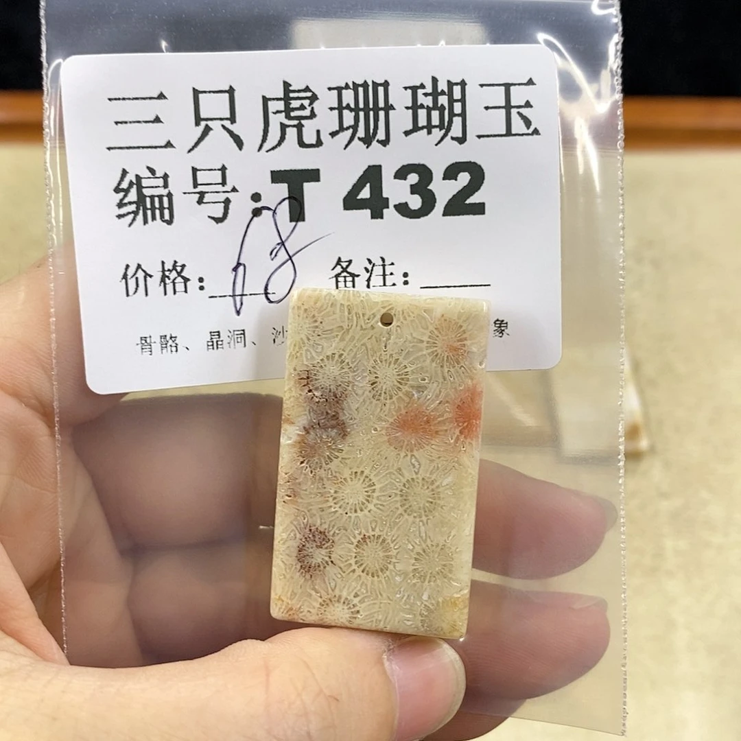 硅化珊瑚（珊瑚玉）1未镶嵌L***理