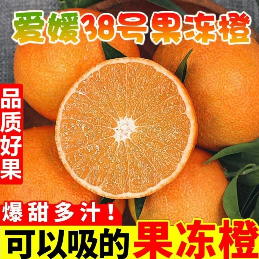 爱媛38号果冻橙1斤