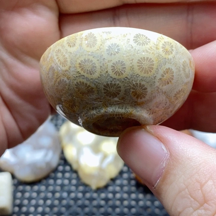 硅化珊瑚（珊瑚玉）颈饰未镶嵌