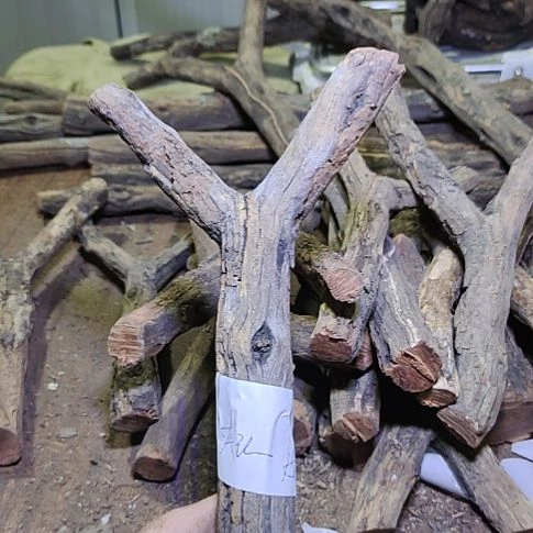 夹***行火琉璃原杈，不保沉水，慎拍！