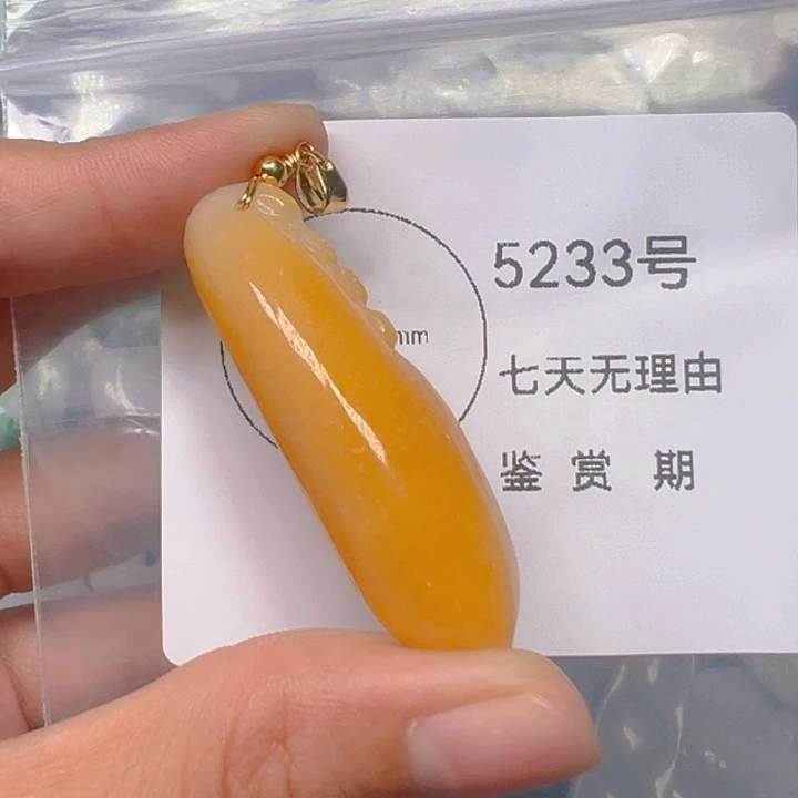 颈饰未镶嵌翡翠挂件