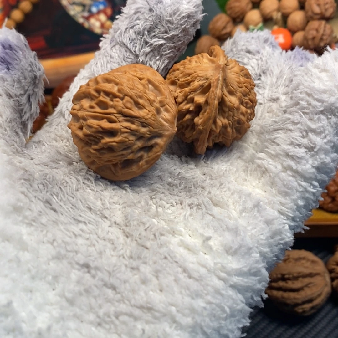 薛***薛秦岭森林茂密地被毁