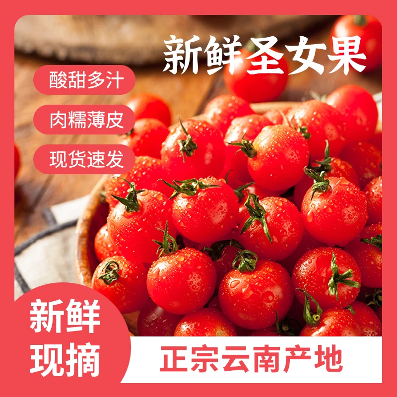 云南高原爆汁浓郁小番茄千禧低脂现摘新鲜小番茄圣女果健身水果