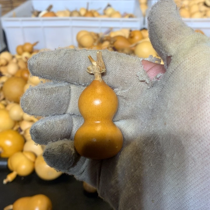 奶香小饼干是最喜欢喝奶油