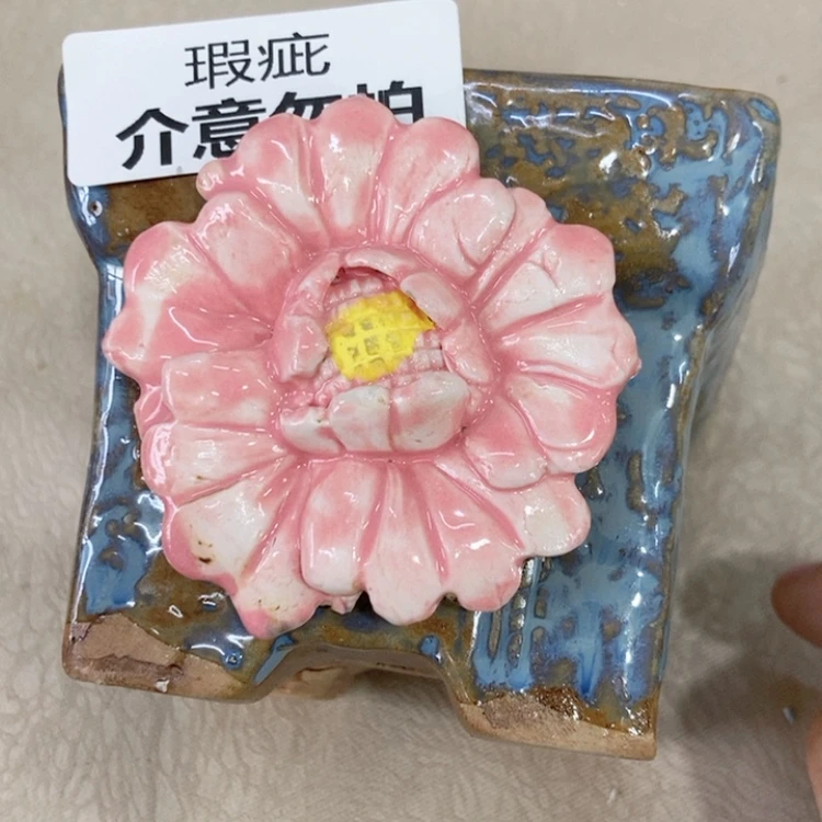 【闪购商品】红陶福利