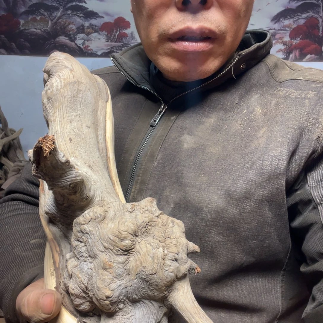 小***哥西部山区北太行料