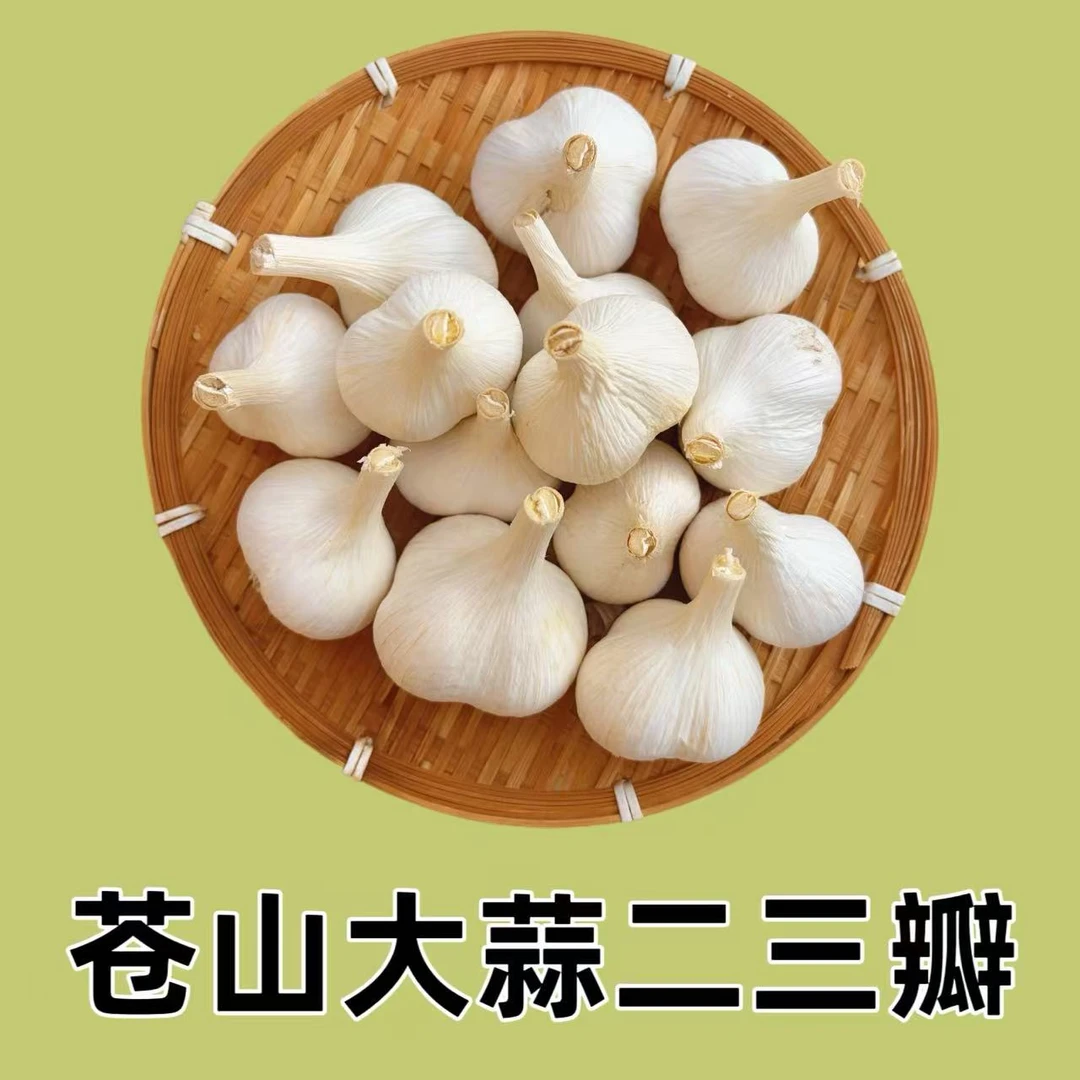 精品苍山大蒜二三瓣2025新干蒜产地1斤3斤5斤老品种蒜香味浓