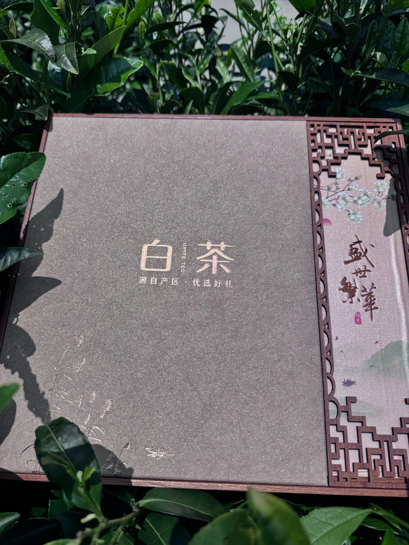 明前头春头采特级白茶高档礼盒装