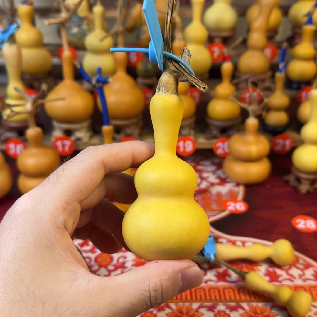 一***圣葫芦dndndnnddnndnsns