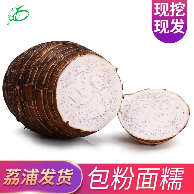 【顺丰包邮】正宗广西荔浦芋头新鲜农产品现挖现发3斤5斤9斤香芋
