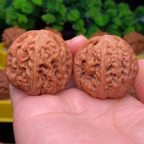 把件文玩核桃粗筋39全品